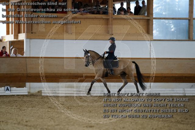 s_K3F01554.JPG